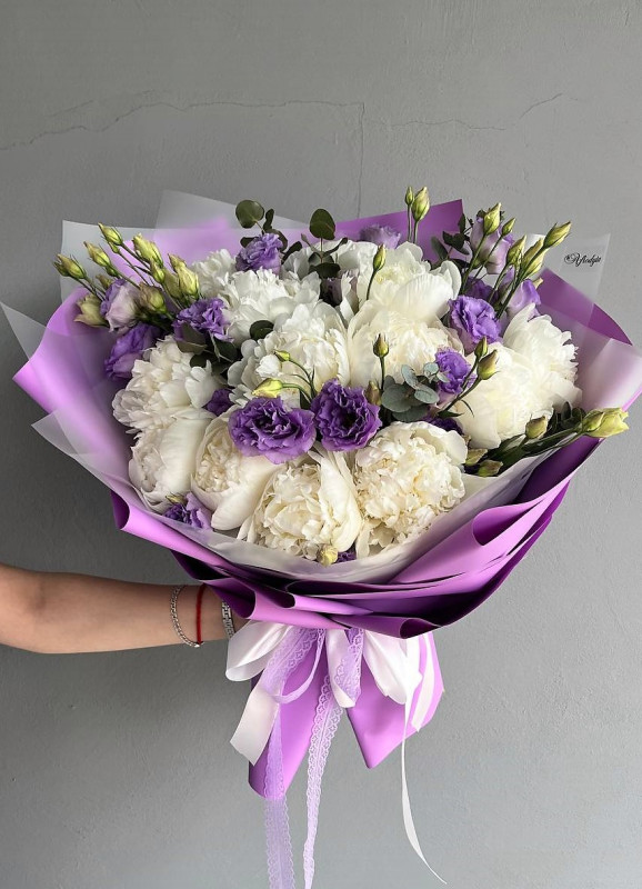 BUK.Piwonia fiol.eustoma